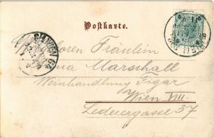 1900 Vienna, Wien; Gruss aus Weigl's Etablissement "Dreher Park" / restaurant with th...