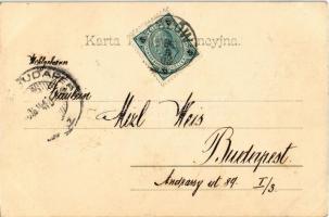 1903 Kraków, Krakau, Krakkó; Rynek / square, horse carts