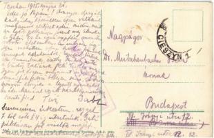 1915 Cieszyn, Teschen; Demelplatz / market square with vendors' horse carts, trams, pharmacy. E...