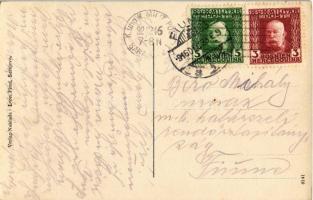 1916 Ausflug Bosn. Türkinen / Trip of Bosnian Turkish family on horse cart, folklore. Naklada Leon F...