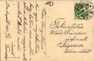 1909 Krampus in aircraft. H.H. i. W. Nr. 566