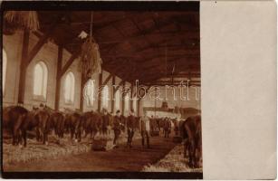 ~1908 Huszárezred istállója, belső / Military barn of the K.u.k. Hussar regiment, interior. photo