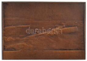 Franciaország ~1910. Motorcsónakot ábrázoló Br plakett. Szign.: L. Cariat (72g/45,5x65,5mm) T:1-,2 k...