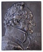 Ausztria ~1910. Goethe egyoldalas plakett, jelzett Ag. Szign.: F. Stiasny (150,48g/65,5x54,5mm) T:1-,2 / Austria ~1910. Goethe one-sided, hallmarked Ag plaque. Sign.: F. Stiasny (150,48g/65,5x54,5mm) C:AU,XF