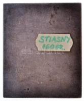 Ausztria ~1910. "Goethe" egyoldalas plakett, jelzett Ag. Szign.: F. Stiasny (150,48g/65,5x...