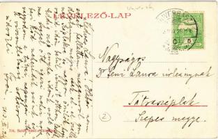 1913 Újverbász, Verbász, Novi Vrbas; Telecskai szőlők a Ferenc csatorna mentén, szőlőskertek, horgás...