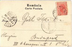 1902 Gorj, Vedere din Gorjiu; Cascada dela Vaideec / waterfall