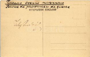 Astrakhan, Astrachan; Fischtransport im Winter / transporting of fish with camels in winter