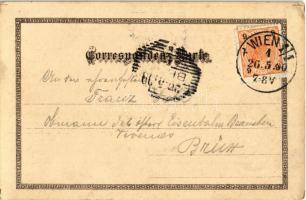 1900 Vienna, Wien, Bécs; Stefansplatz, Riedl's Café de l'Europe / cathedral, cafe, shop. F...