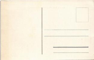 Pilis, Özv. Báró Nyáry Lászlóné kastélya  (EK)