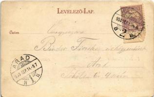 1900 Kassa, Kosice; Erzsébet tér, Adriányi Markó üzlete, piac. Breitner Mór kiadása / square, shops,...