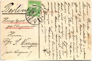 1911 Kolozsvár, Cluj; Egyetem botanikus kertje, Erdély mohavilágából, lucfenyő / university's b...