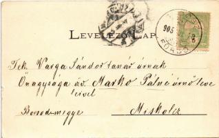 1905 Stószfürdő, Stoósz-fürdő, Kúpele Stós; Mária villa / villa