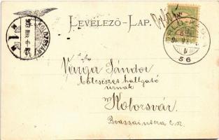 1903 Sztrecsnó, Sztrecsény, Strecno (Ruttka, Vrútky); Sztrecsnói szoros a Vág és a Kassa-Oderbergi V...