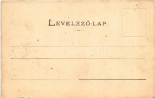 Torna, Turna nad Bodvou, Turnau; vár a Szádelői völgyben. Divald Adolf 64. / Turniansky hrad / castl...