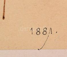 1881 Esterházy Mihály (1853-1906): Gróf Esterházy Mihály afrikai vadászaton, fotó, kartonra ragasztv...