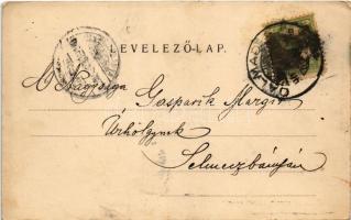 1903 Szántó, Santovka; Szántói savanyúvíz forrás, töltőház. Divald Károly kiadása / mineral water sp...