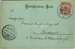 1900 Vatra Dornei, Dornavátra, Dorna-Watra, Scalda Dorna; Wasserreservoir / water reservoir