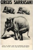 Circus Sarrasani. Cohn, der grösste unter den 10 Elefanten des Circus Sarrasani, 46 Ztr. schwer, legt sich auf seinen Herrn / Circus acrobat with elephant