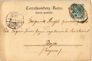 1900 Carlibaba, Kirlibaba (Bukovina, Bucovina); Steinfelsen / general view (EK)