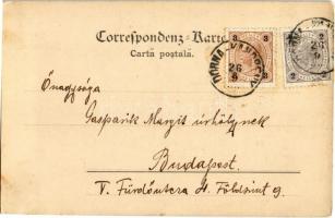 1900 Vatra Dornei, Dornavátra, Dorna-Watra, Scalda Dorna (Bukovina, Bucovina); Klause / dam