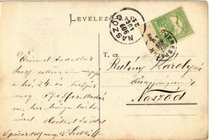 1907 Verespatak, Goldbach, Rosia Montana; Arany-zúzók. Schmidt György kiadása / gold mine