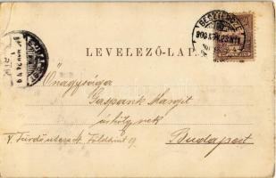 1900 Beszterce, Bistritz, Bistrita; Iparosegyeleti ház / Gewerbeverein / House of Craftsmen Associat...