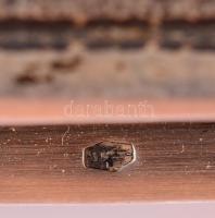 Szebényi Imre (1923-1983): Ezüst (Ag.) cigarettásdoboz József Attila idézettel, poncolt, trébelt, fa...