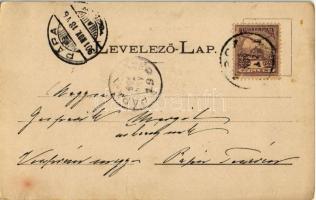 1901 Zirc, apátság, Dr. Tóth Endre villa és Dr. Kemény Pál lakháza. Mandausz János kiadása