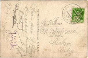 Nagybocskó, Velikij Bicskiv, Velykyy Bychkiv (Máramaros, Maramures); Klotild vegyipari gyár, iparvas...