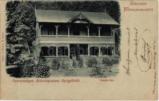 1901 Gyertyánliget, Polyána-Gyertyánliget, Kabola Polyána, Kobyletska Poliana (Máramaros, Maramures); Valéria ház. Mayer és Berger kiadása / villa