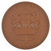 Berán Lajos (1882-1943) ~1937. "BSzKRT Sportegyesülete 1912-1937" kétoldalas Br emlékérem ...