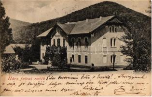 1901 Hársfalva-gyógyfürdő (Szolyva), Nelipino, Nelipyno; Rudolfvár / villa (EK)