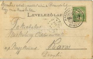 1906 Hársfalva-gyógyfürdő (Szolyva), Nelipino, Nelipyno; Hársfa liget / linden tree promenade (EK)