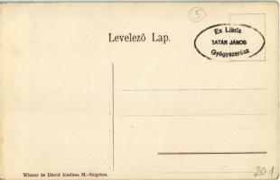 Aknaszlatina, Slatinské Doly, Szolotvino, Solotvyno (Máramaros); sósfürdő, zene pavilon / spa's...