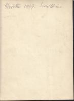 1907 Pestszentlőrinc Gloriette, fotó, hátulján feliratozva, 23,5×17,5 cm