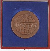 1980. "Magyar Távirati Iroda 100 éves 1880-1980" Br emlékérem dísztokban (70mm) T:1-