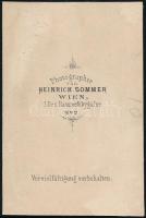 cca 1860 Pozsony látképe, fotó Heinrich Sommer bécsi műterméből, feltehetőleg a "Reise an der D...