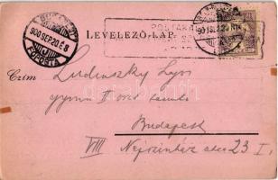 1900 Pozsonynádas, Nadas, Trstín; uradalami vadászlak. Back Gábor kiadása / hunting lodge (EK)