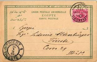 1899 Alexandria, Colone Pompeo, Monument Mehemed-Ali / general view, statue. floral, litho (EK)