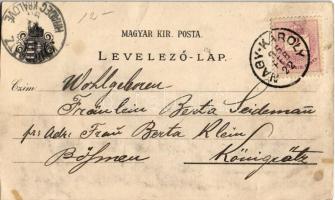 1895 (Vorläufer!!!) Debrecen, Református nagy templom, Piac utca a városi vasúttal. C. Jurischek Art...