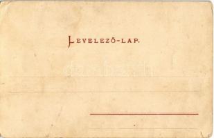 Szebenjuharos, Hohe Rinne, Paltinis; Turistaház, Conrad kilátó. Jos. Drotleff / tourist house, looko...