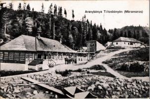 Tótosbánya, Totos (Budfalva, Budesti); Zserampo-völgy, Aranybánya / gold mine + 1940 Máramarossziget visszatért So. Stpl.