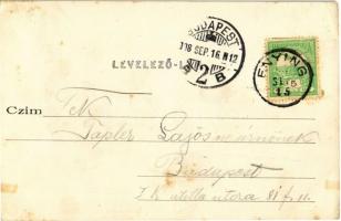 1908 Balatonvilágos, Villatelep felső része. Politzer Jenő kiadása (fa)