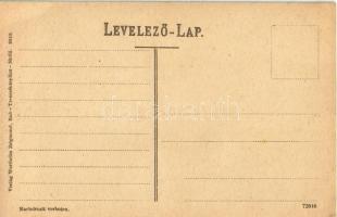 Trencsénteplic, Trencianske Teplice; Villamos vasút főállomása. Kiadja Wertheim Zsigmond / Hauptstat...