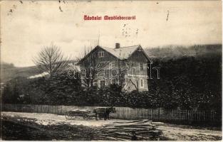 Mezőlaborc, Medzilaborce; erdészlak (?), fahasábok. Schönfeld Sámuel kiadása / forestry house, logs (fl)