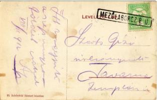 Mezőlaborc, Medzilaborce; erdészlak (?), fahasábok. Schönfeld Sámuel kiadása / forestry house, logs ...