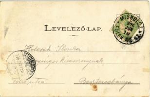 1906 Feled, Veladin, Jesenské; utcakép, M. kir. csendőrségi laktanya, vendéglő, iskola / street, gen...