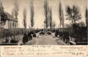 1906 Budapest III. Csillaghegy, Erzsébet királyné szobor és park. Csiha Béla kiadása (kis szakdás / small tear)