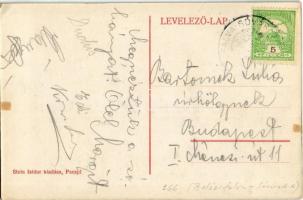 1916 Parajd, Praid; Cserép téglagyár. Stein Izidor kiadása / tile brick factory